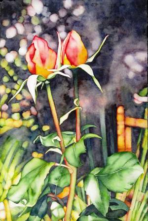 catherine-macaulay-roses-duet-floral-watercolour-contemporary-flower-painting-online-gallery