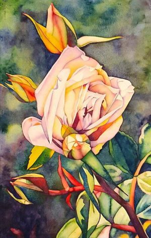 catherine-macaulay-roses-beginnings-floral-watercolour-contemporary-flower-painting-online-gallery