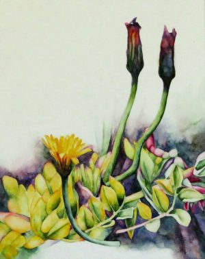 catherine-macaulay-beach-peas-2-floral-watercolour-contemporary-flower-painting-online-gallery
