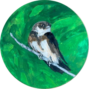 dawna-rose-bank-swallow-bird-painting-climate-change-art-online-gallery