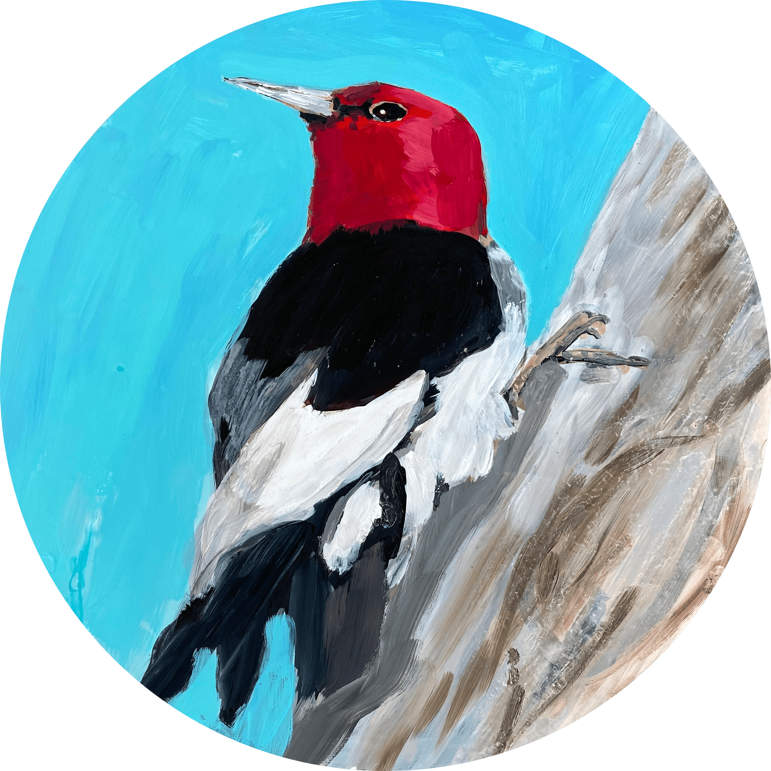 dawna-rose-red-headed-woodpecker-bird-painting-climate-change-art-online-gallery