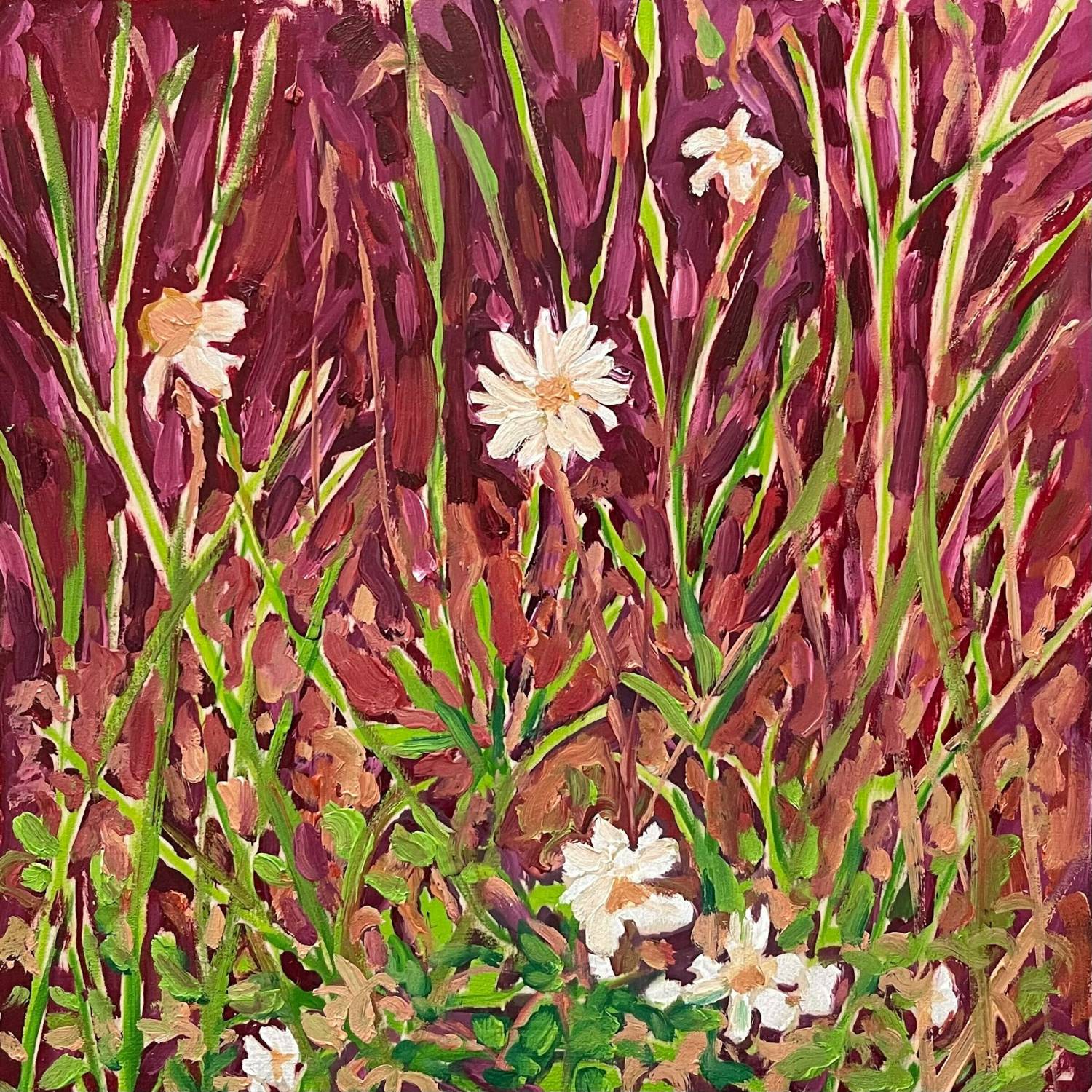 edie-marshall-maybelles-art-flower-painting-white-daisies-garden-online-gallery