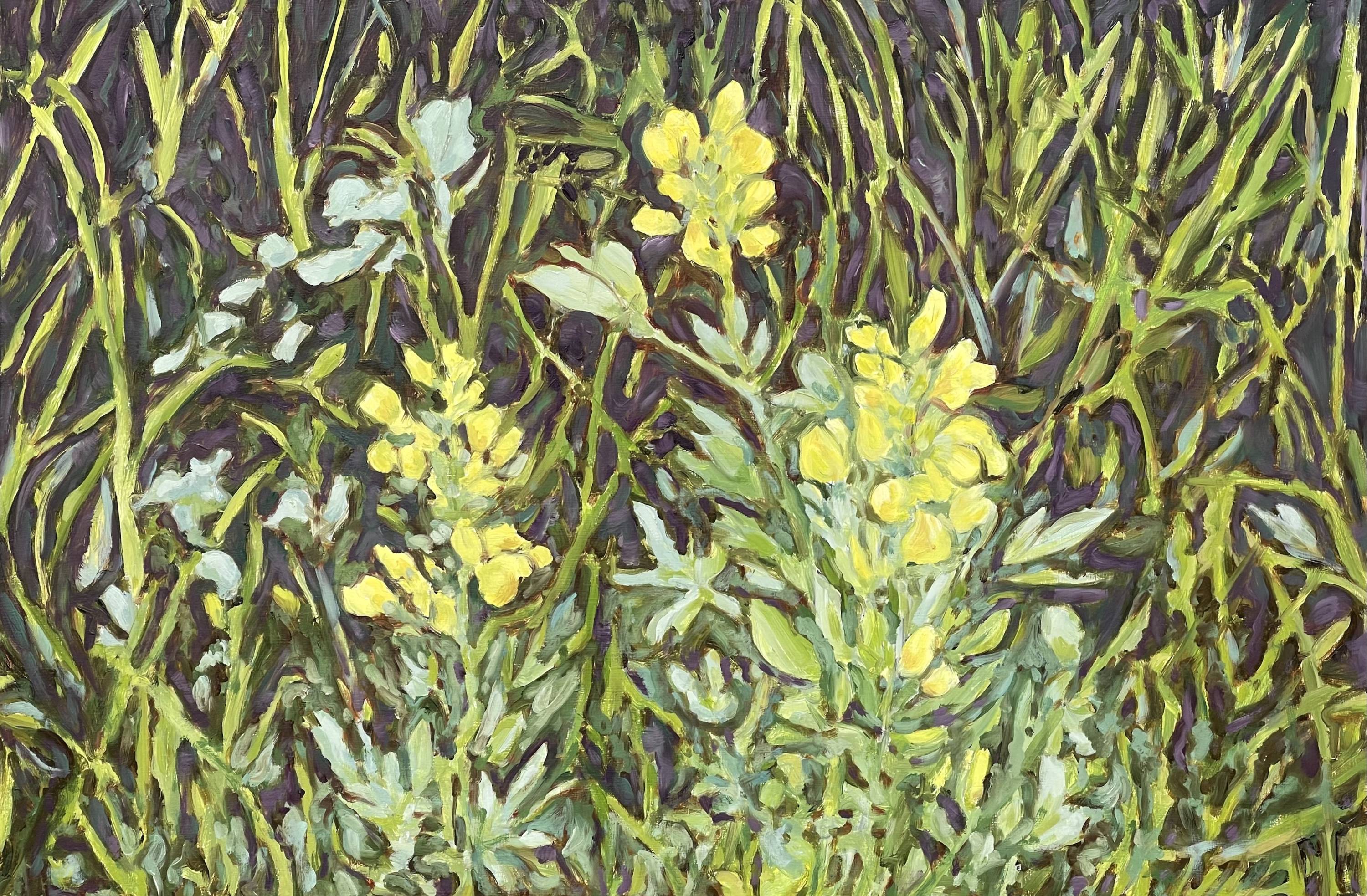 edie-marshall-buffalo-beans-wildflower-painting-yellow-roadside-blossoms-online-gallery