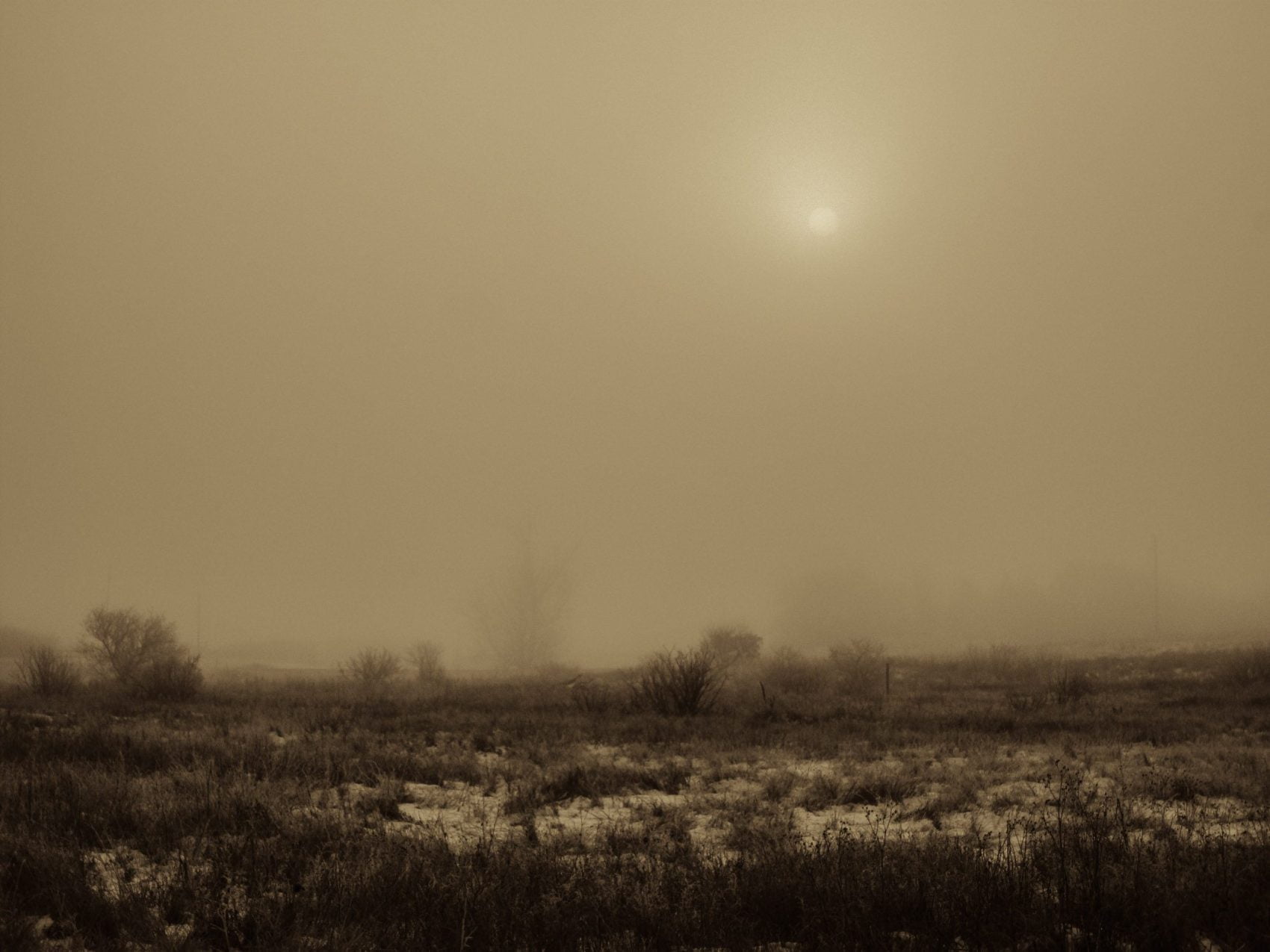 john-penner-ice-fog-winter-photography-salt-print-prairie-landscape-online-gallery