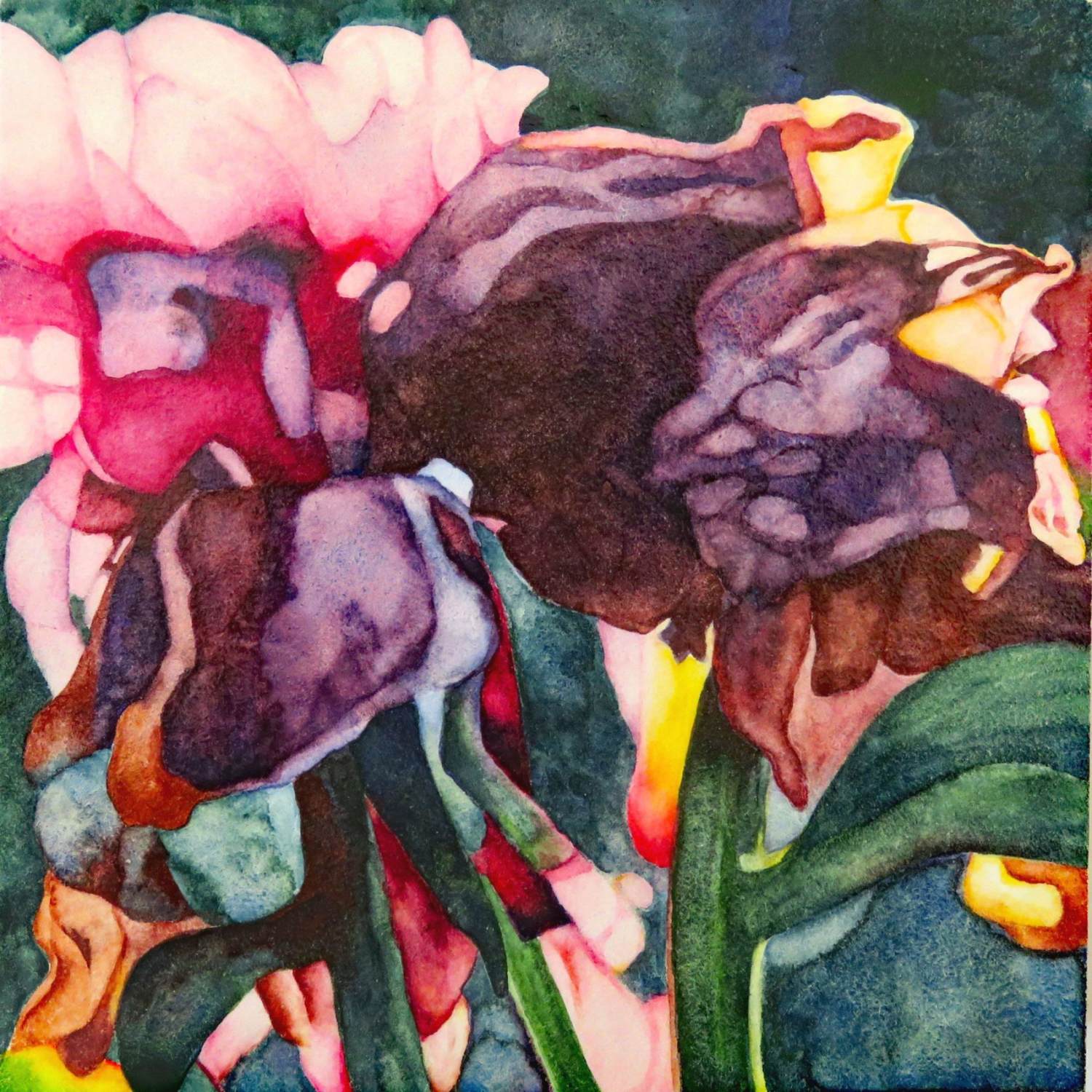 catherine-macaulay-full-life-1-peony-watercolor-flower-painting-online-gallery