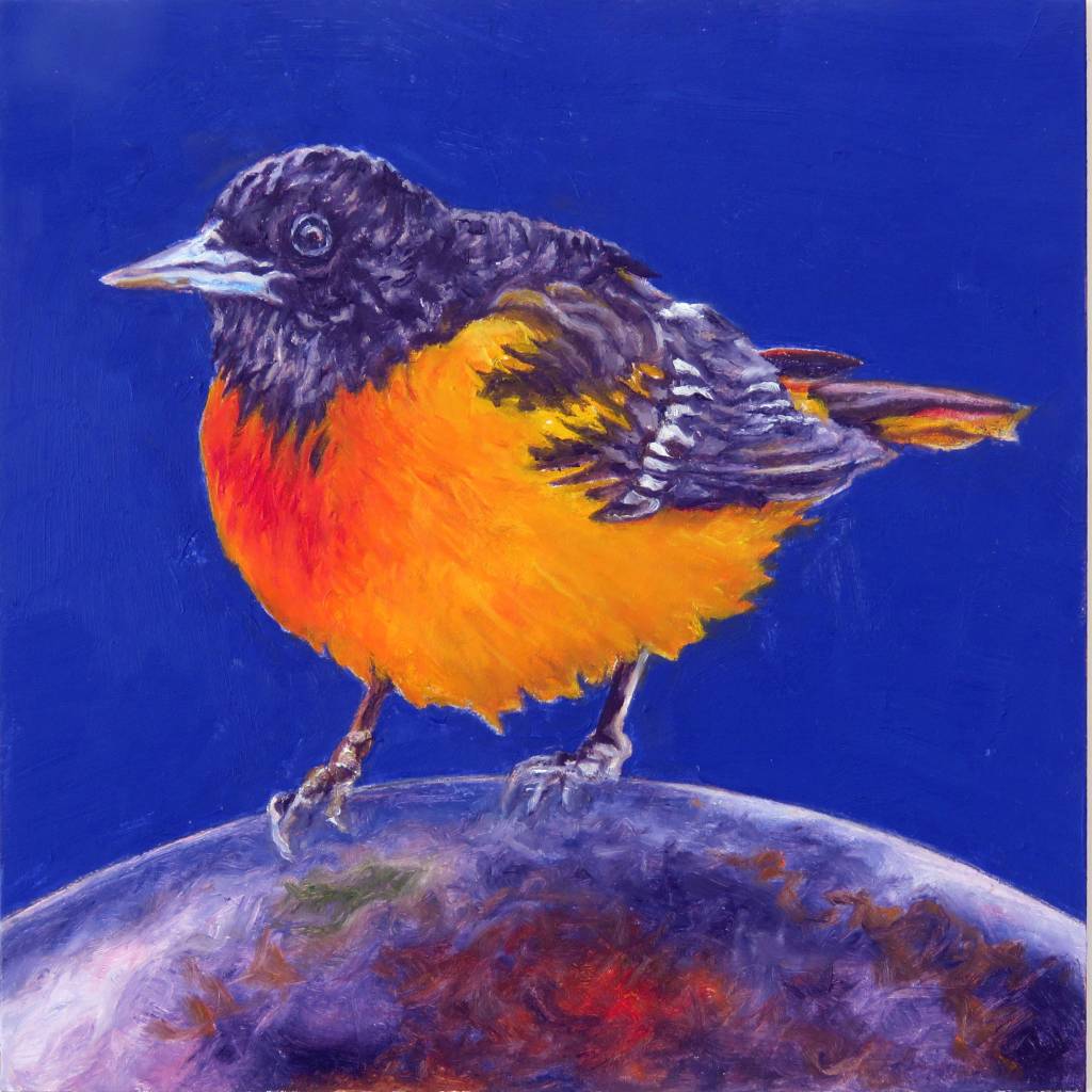 laureen-marchand-bird-art-world-without-end-oriole