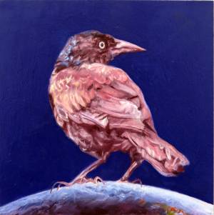 laureen-marchand-grackle-gleaming-bird-oil-painting-ecology-art-online-gallery