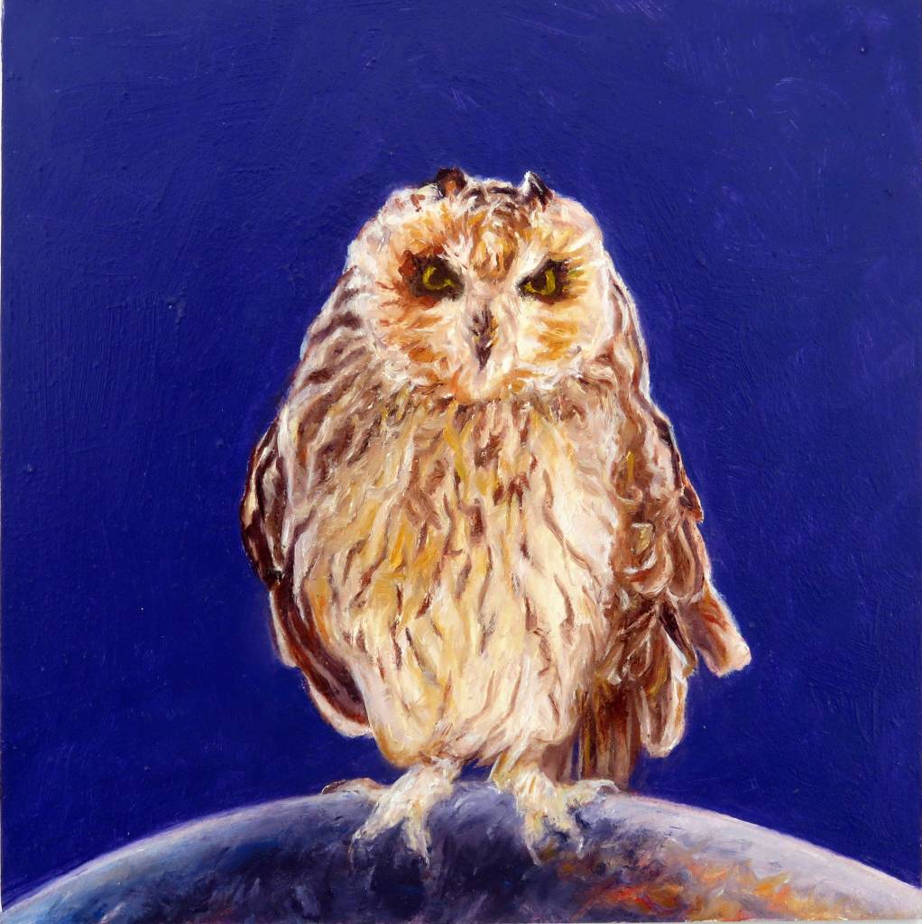 laureen-marchand-bird-art-world-without-end-owl