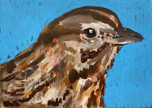 dawna-rose-sparrow-gouache-art-bird-painting-climate-change-art-online-gallery