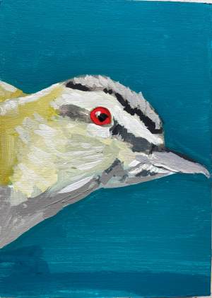 dawna-rose-red-eyed-vireo-bird-painting-climate-change-art-online-gallery