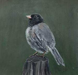 betsy-rosenwald-junco-2-bird-painting-climate-change-art-online-gallery