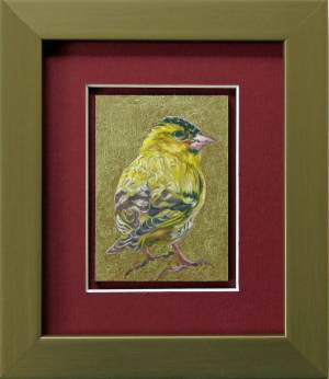 laureen-marchand-siskin-bird-painting-climate-change-art-online-gallery