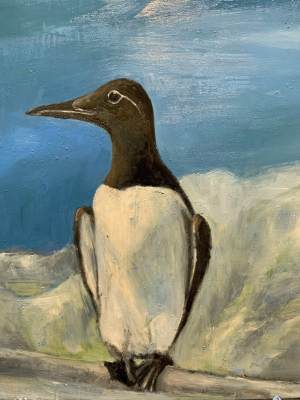 betsy-rosenwald-murre-climate-change-art-bird-painting-online-gallery