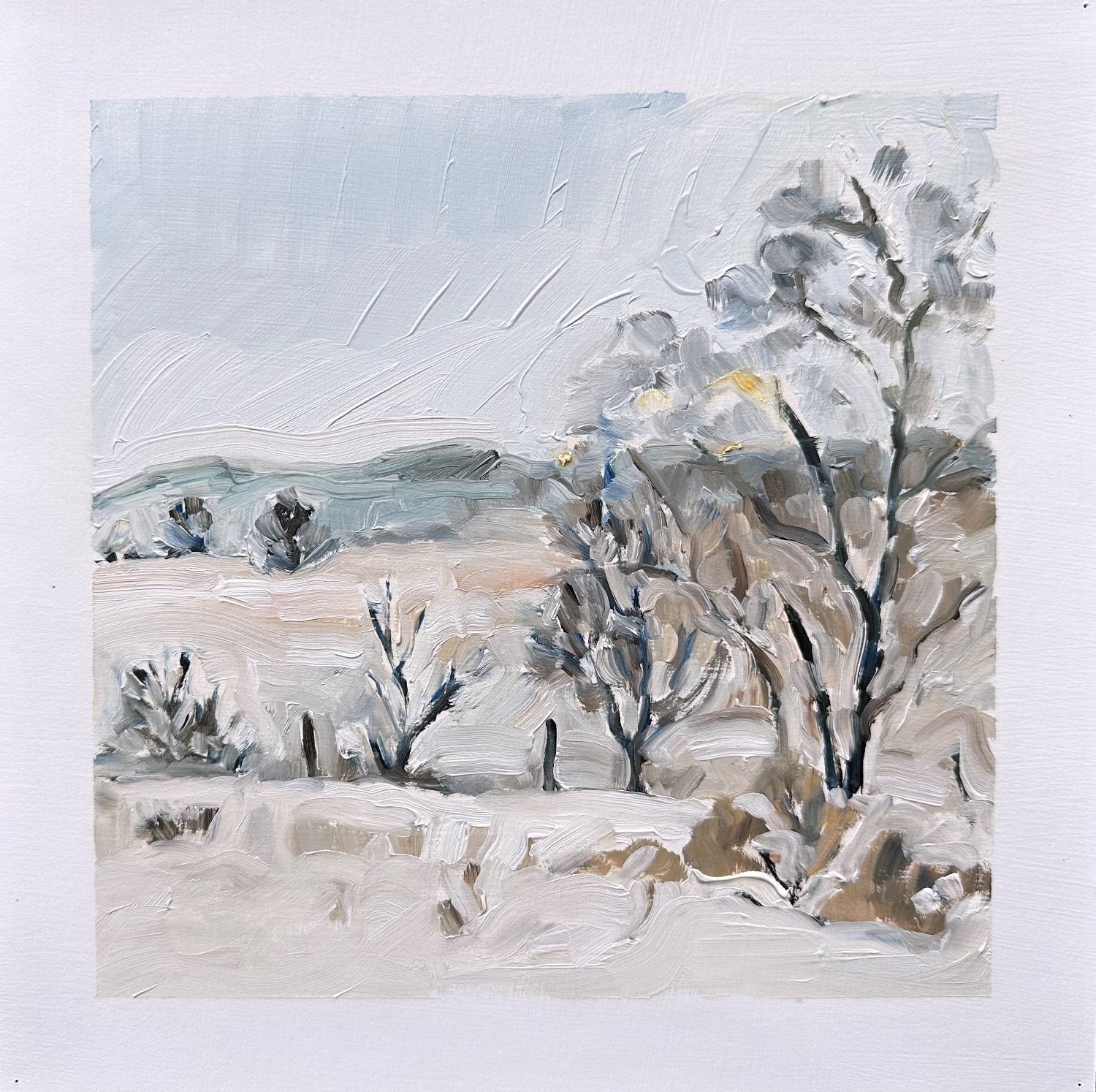 edie-marshall-terrain-970-canadian-landscape-artist-winter-painting-online-gallery