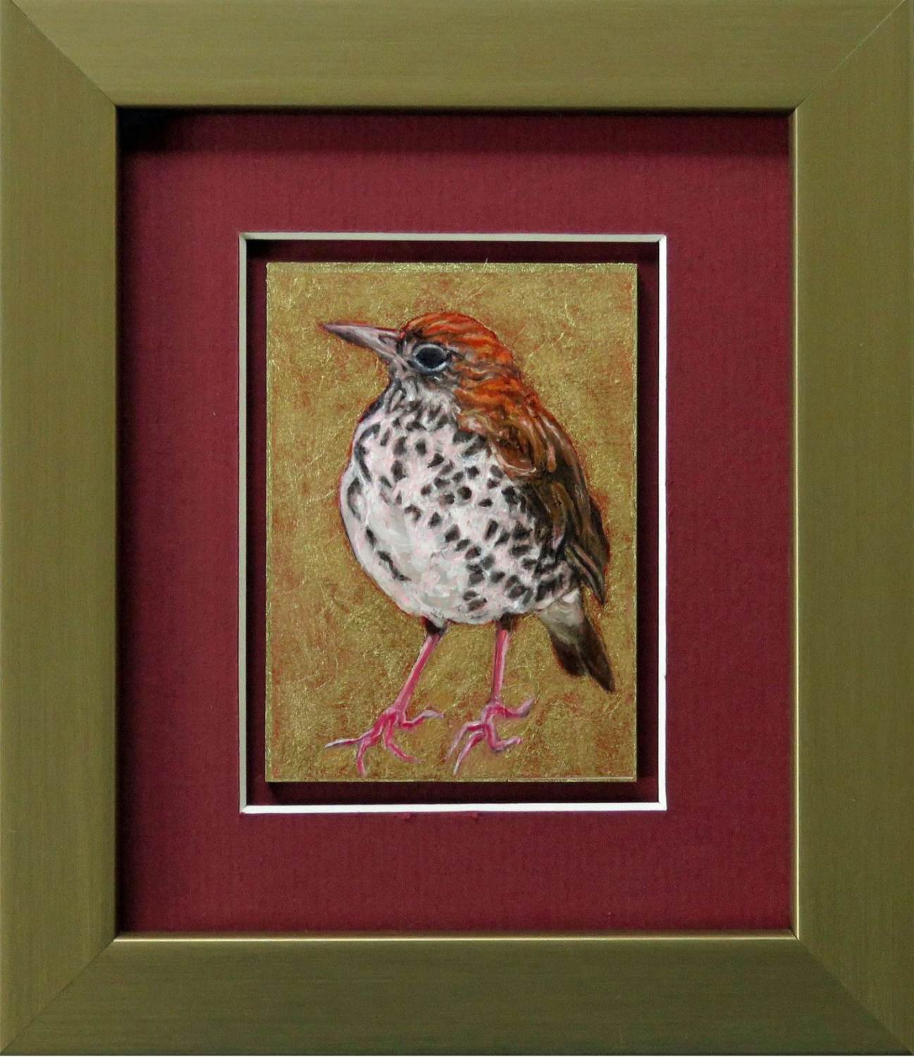 laureen-marchand-small-wonders-imperious-thrush-framed-climate-change-art-bird-painting-online-gallery